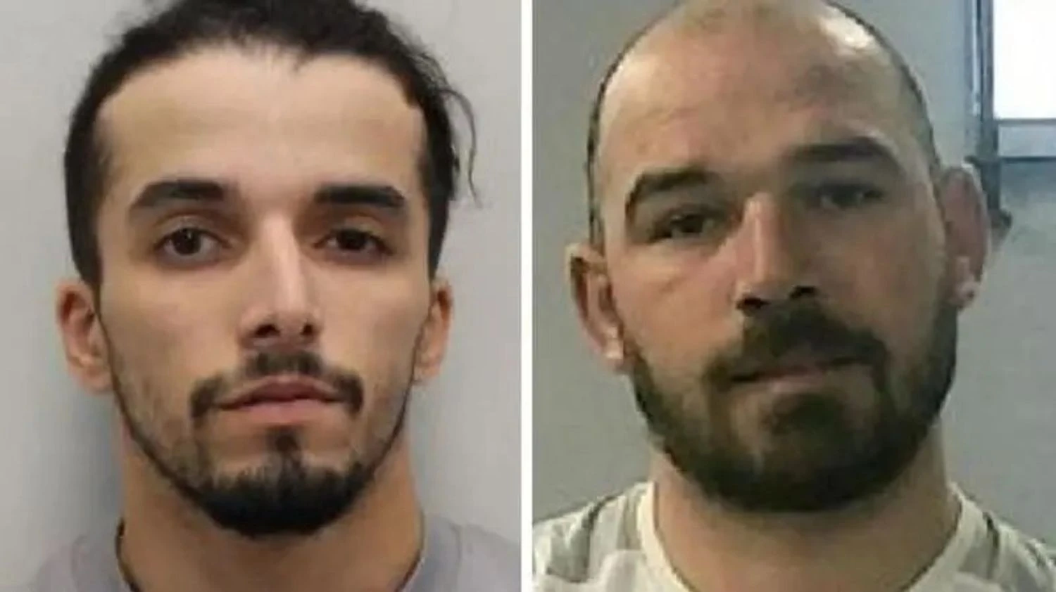 Українські Національні Новини (УНН)