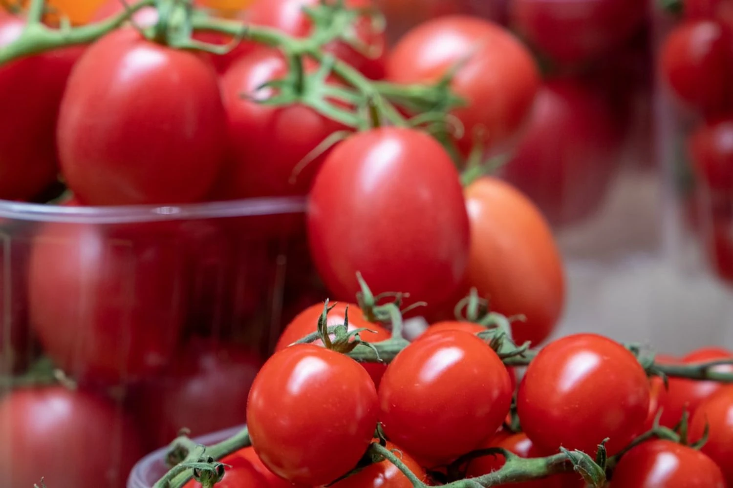 Тепличні помідори подорожчали: причини і що з цінами буде далі
