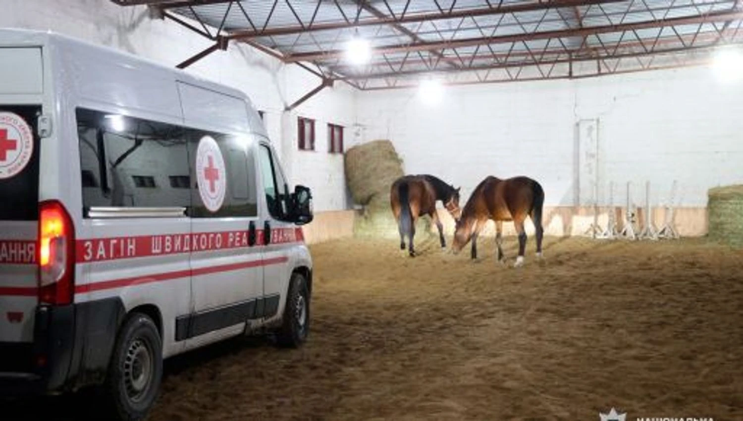 Рятувальна операція на Харківщині: 19 коней евакуйовано з прифронтової зони