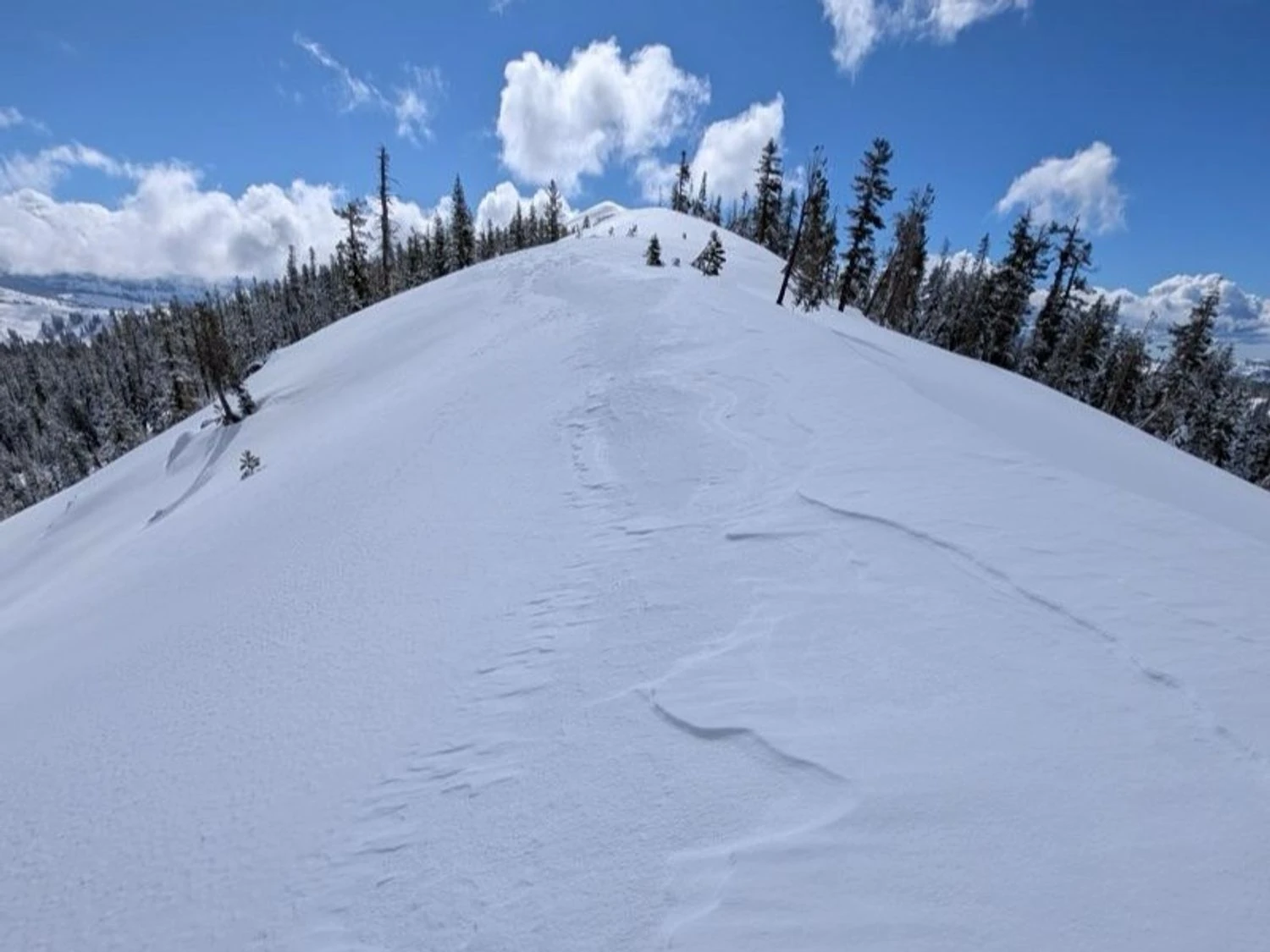 У США через сходження лавини зникли 10 лижників, ще шістьох намагаються врятувати