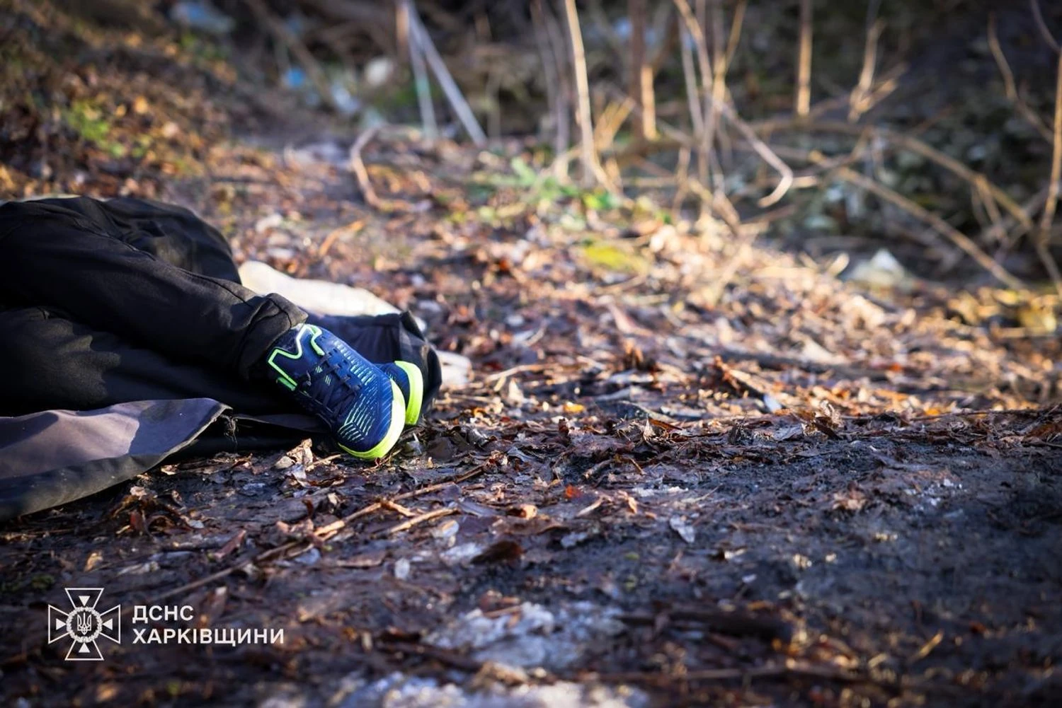 У Харкові шестеро дітей провалились під кригу, двоє - загунули